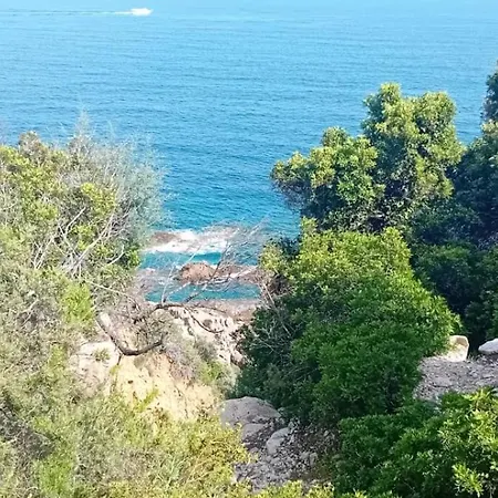 Sa Burrida Mare Santa Lucia (Sardinia)